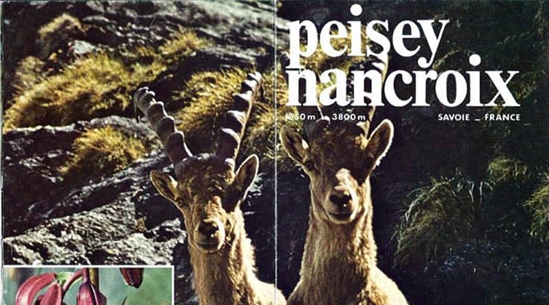 Prospectus chamois à peisey