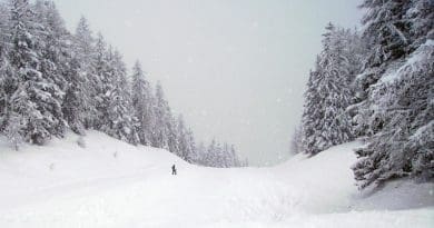 perdus sur les pistes